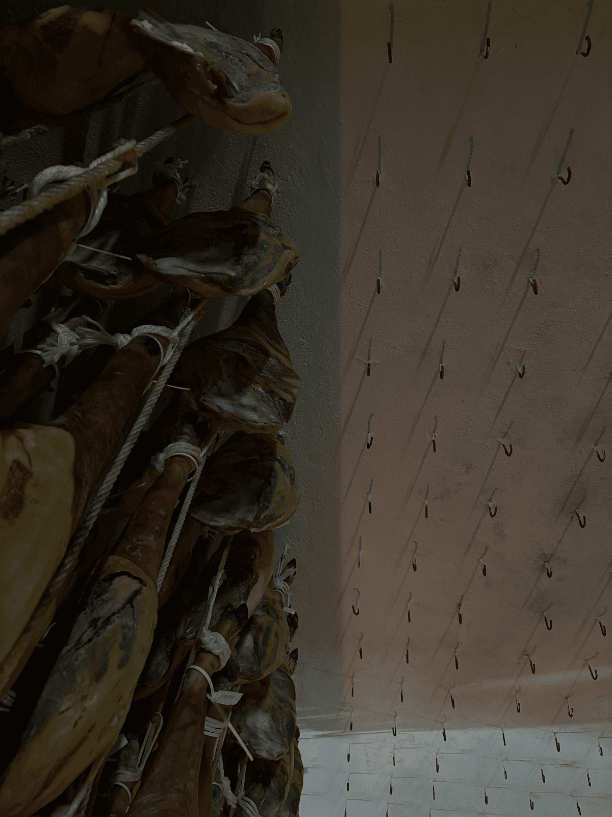 Authentic Spanish Chorizo